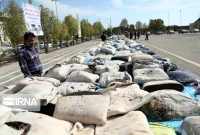 جمع آوری بیش از ۴۶۰۰ معتاد متجاهر در سراسر کشور