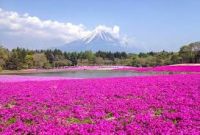 هواشناسی کرمان: تداوم هوای سرد و هشدار به کشاورزان پس از بارش برف و باران هواشناسی کرمان: تداوم هوای سرد و هشدار به کشاورزان پس از بارش برف و باران