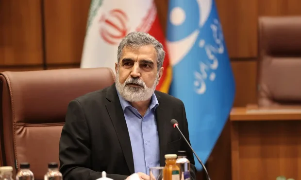 تعویض سوخت نیروگاه اتمی بوشهر با نظارت آژانس بین‌المللی انرژی اتمی