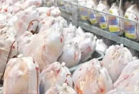 کلاف سردرگم بازار قیمت مرغ در بازار