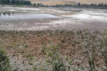 خشک شدن کامل سرابهای نیلوفر و یاوری خشک شدن کامل سرابهای نیلوفر و یاوری