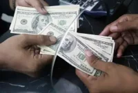 جدیدترین نرخ‌های قیمت دلار، یورو و درهم امروز یک شنبه ۲ آذر  ۱۴۰۴