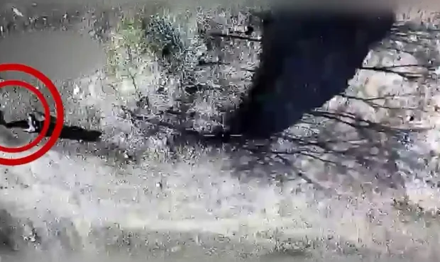 فیلم شناسایی عناصر تجزیه طلب توسط پهپاد هوشمند پرسه زن سپاه فیلم شناسایی عناصر تجزیه طلب توسط پهپاد هوشمند پرسه زن سپاه