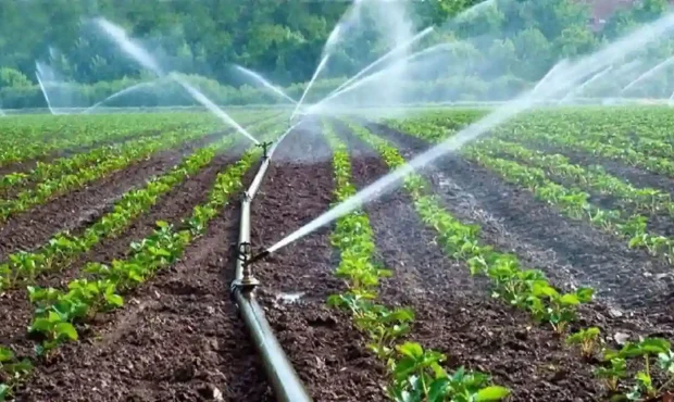 تسهیلات حمایتی وزارت جهاد کشاورزی در سال ۱۴۰۵