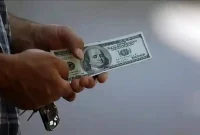 جزئیات دریافت ارز دولتی از امروز ۴ شهریور ۱۴۰۵