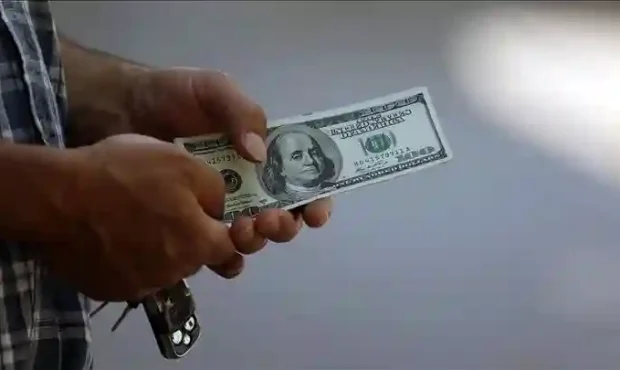 جزئیات دریافت ارز دولتی از امروز ۴ شهریور ۱۴۰۵