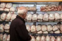 افزایش هزینه نهاده‌ها قیمت تمام‌شده کوشت مرغ را بالا برد